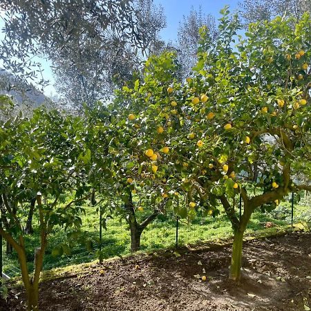 Sorrento Realty Holidays - The Smile Of The Sun ภายนอก รูปภาพ